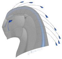 Dawn Hunter female head profile