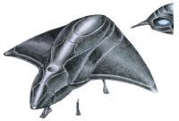 Colored pencil drawing of Sky Carrier