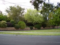 Nice garden