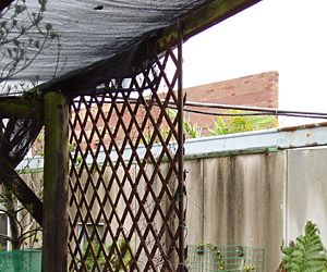 Ugly house dividing wall