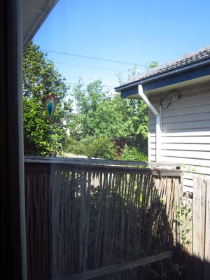 Street tree next door felled, 8/3/2016