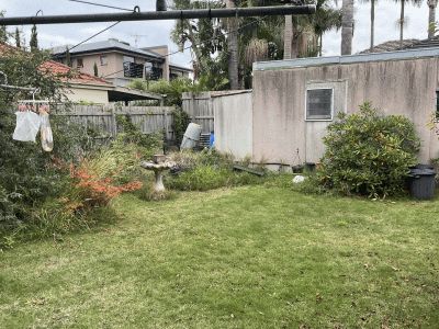 Backyard before clearing