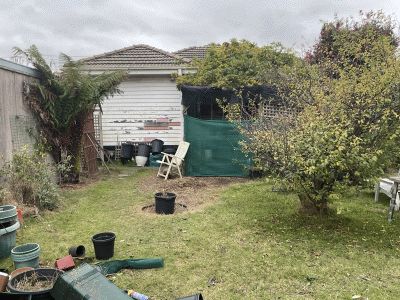 Backyard after clearing