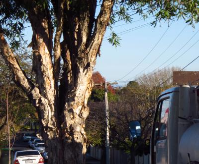 Brisbane Ranges glimpse, 15/5/2016